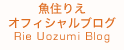 タレント活動情報